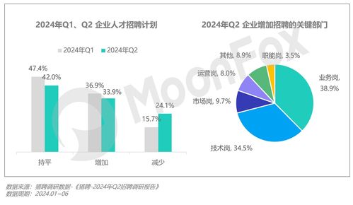 2024年第二季度中國移動(dòng)互聯(lián)網(wǎng)行業(yè)數(shù)據(jù)研究報(bào)告