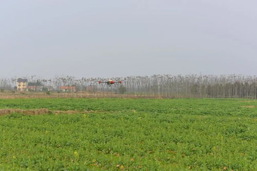 人勤春來早 荊州區(qū)農業(yè)科技服務春耕備耕