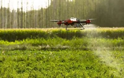 【產(chǎn)業(yè)研究】農(nóng)產(chǎn)品加工龍頭企業(yè)培育的思考與建議