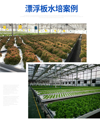 漁菜鮮森-水培植物工廠-智能種植柜-溫室可用