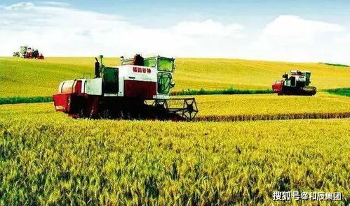 和辰咨詢 中央撥款45億 托管農業 上升為國家重點支持項目