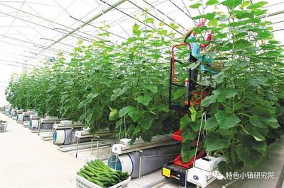 【新業態】休閑農業、互聯網+農業、智慧農業&hellip;