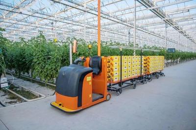 新基建數(shù)字化植物工廠開(kāi)辟農(nóng)業(yè)新版圖!