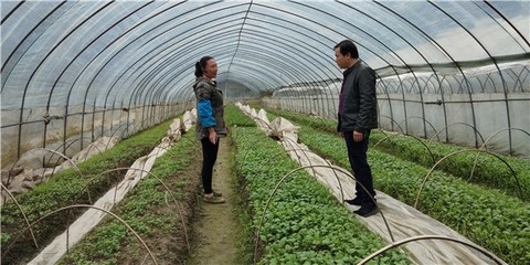 開(kāi)展包村聯(lián)戶 助力農(nóng)民增收--績(jī)溪縣開(kāi)展春季農(nóng)業(yè)科技服務(wù)活動(dòng)