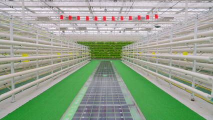 溫室蔬菜種植-科技農(nóng)業(yè)