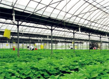 未來(lái)農(nóng)業(yè)發(fā)展趨勢(shì)--互聯(lián)網(wǎng)+生態(tài)農(nóng)業(yè)