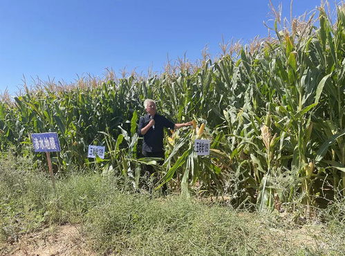 縣發(fā)改科技局開(kāi)展農(nóng)業(yè)科技試驗(yàn)示范成果觀摩暨特派員交流學(xué)習(xí)現(xiàn)場(chǎng)會(huì)