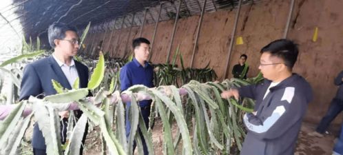 第91批中國博士后科技服務團走進山西天鎮(zhèn)