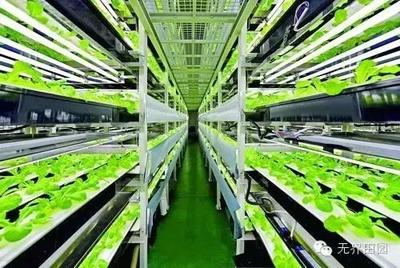 目測這個農(nóng)業(yè)項目要火,日本臺灣的科技巨頭都看好!