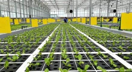 【農(nóng)業(yè)科技】新一代智慧農(nóng)業(yè)技術應用展望