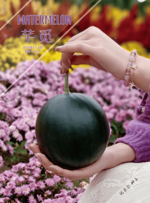 依托植物基因組分子育種技術,創(chuàng)新精品西甜瓜發(fā)展之路