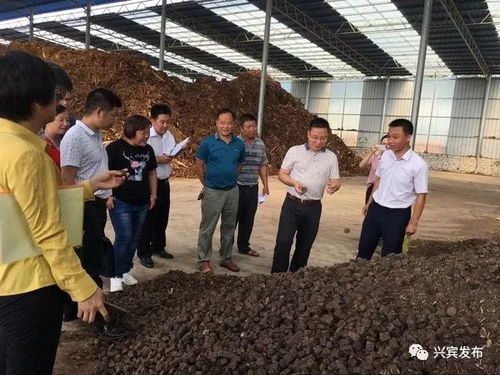 哪個鄉(xiāng)鎮(zhèn)多力 興賓區(qū)產(chǎn)業(yè)扶貧和村級集體經(jīng)濟大評比