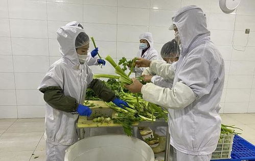 淶水發展 訂單 保底 式消費扶貧助農增收