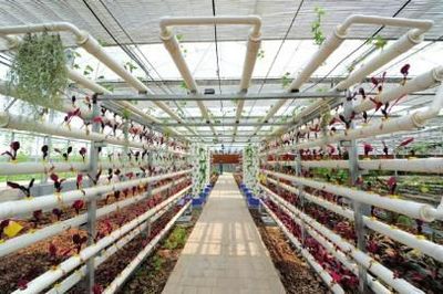 融入科技元素 資中全力推動科技創(chuàng)新(組圖)