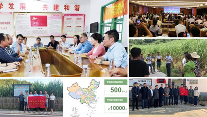 黨建巡禮&middot;樣板支部 | 黨建引領(lǐng)聚合力,守護中國&ldquo;糖罐子&rdquo;