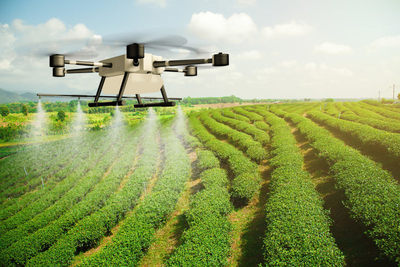 2022農(nóng)險圖繪|多地制定&ldquo;作戰(zhàn)圖&rdquo;備戰(zhàn)春耕,科技賦能瞄準數(shù)據(jù)痛點