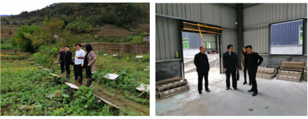 農(nóng)生學(xué)院組織&ldquo;專家團隊&rdquo;深入企業(yè)開展科技服務(wù)