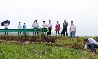 湖南省農(nóng)業(yè)科學(xué)院專(zhuān)家來(lái)湘潭縣開(kāi)展抗災(zāi)減損科技服務(wù)工作