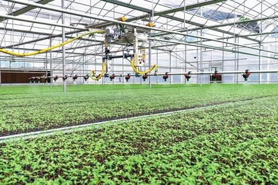 奮力繪就鄉(xiāng)村振興米易畫(huà)卷 --米易縣農(nóng)業(yè)農(nóng)村局全力推動(dòng)農(nóng)業(yè)農(nóng)村高質(zhì)量發(fā)展記