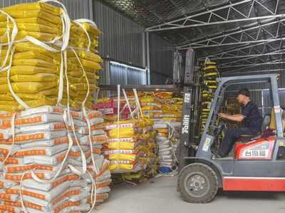 綠色農(nóng)資進(jìn)萬(wàn)家 科技服務(wù)助豐收--青島市供銷社開(kāi)展2025年綠色農(nóng)資下鄉(xiāng)活動(dòng)