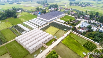 彭州農(nóng)業(yè)又獲得國家級創(chuàng)建名單!