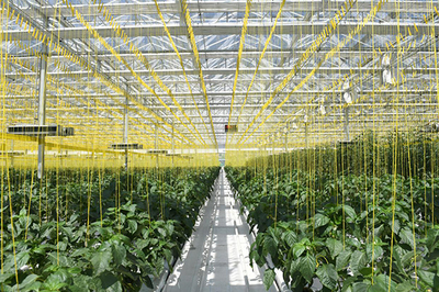 探索北方旱作農業(yè)提質增效路徑 山西農谷中博會上亮出成績單