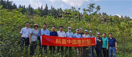 湖北省農技協(xié)農技專家技術服務走進山鄉(xiāng)