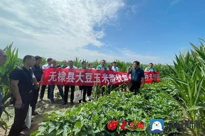 無棣縣科技特派員送“技”到田間，助力農業科技服務升級