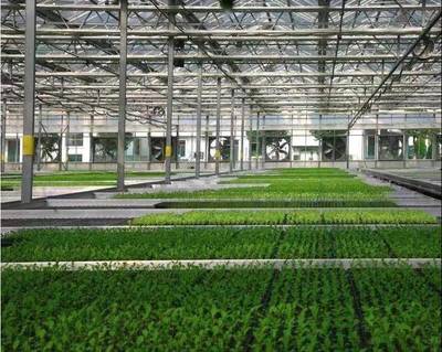 張兵書記調研湘家蕩農業數字化工廠，助力農民豐收節農業科技服務