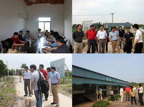 我院科研處與上海市農業科技服務中心開展黨建雙結對活動，共促農業科技服務發展